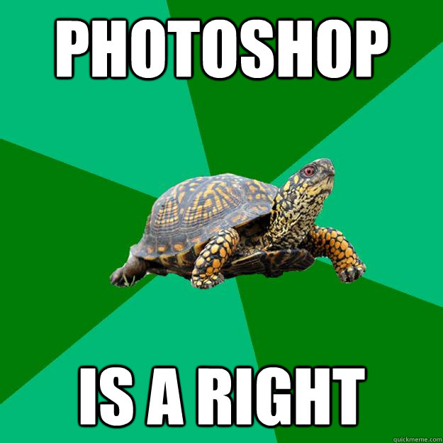 photoshop is a right - photoshop is a right  Torrenting Turtle