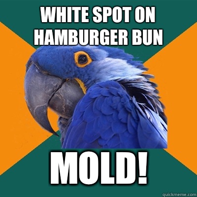 White spot on hamburger bun MOLD!  Paranoid Parrot