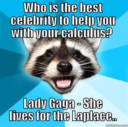WHO IS THE BEST CELEBRITY TO HELP YOU WITH YOUR CALCULUS?  LADY GAGA - SHE LIVES FOR THE LAPLACE.. Lame Pun Coon