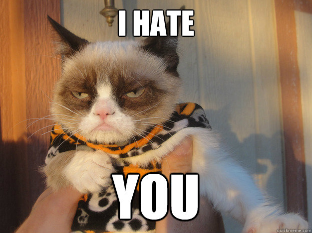 I Hate You - I Hate You  Misc