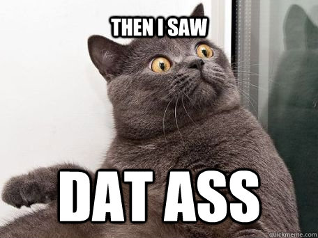 then i saw  Dat Ass  conspiracy cat