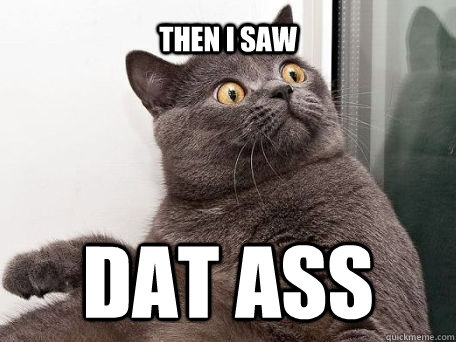 then i saw  Dat Ass - then i saw  Dat Ass  conspiracy cat