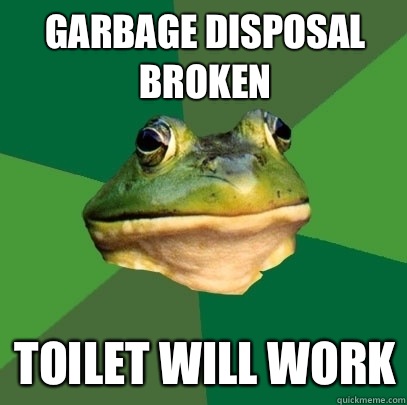 Garbage disposal broken Toilet will work  Foul Bachelor Frog