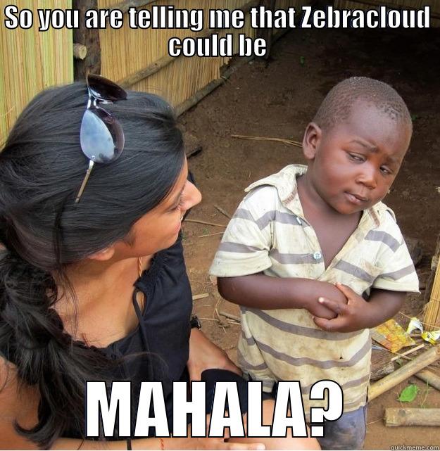 SO YOU ARE TELLING ME THAT ZEBRACLOUD COULD BE MAHALA? Skeptical Third World Kid