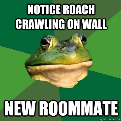 Notice roach crawling on wall New roommate - Notice roach crawling on wall New roommate  Foul Bachelor Frog
