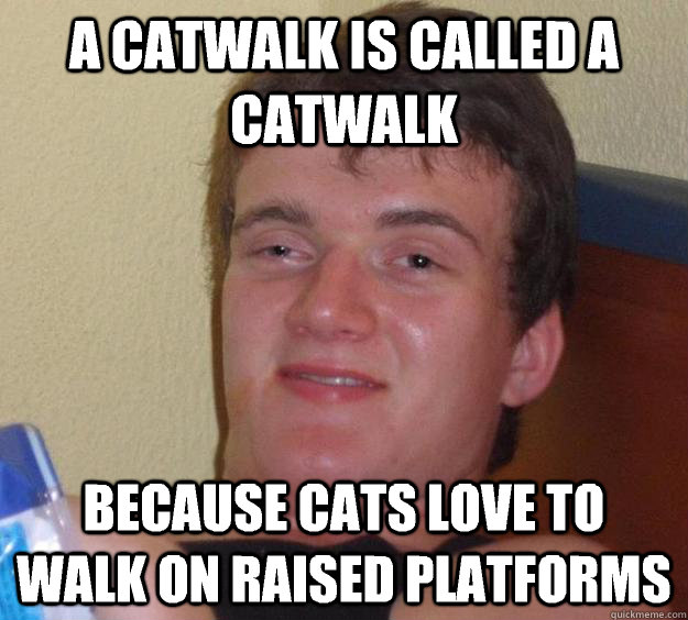 A catwalk is called a catwalk Because cats love to walk on raised platforms  10 Guy