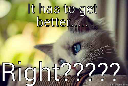 IT HAS TO GET BETTER..... RIGHT????? First World Problems Cat