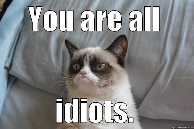 YOU ARE ALL IDIOTS. Grumpy Cat