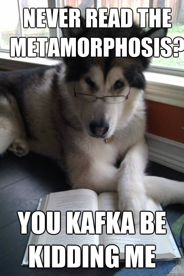 Never read the metamorphosis? You Kafka be kidding me  Condescending Literary Pun Dog
