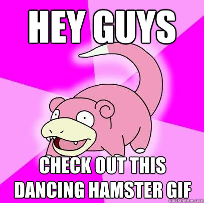hey guys  check out this dancing hamster gif  Slowpoke