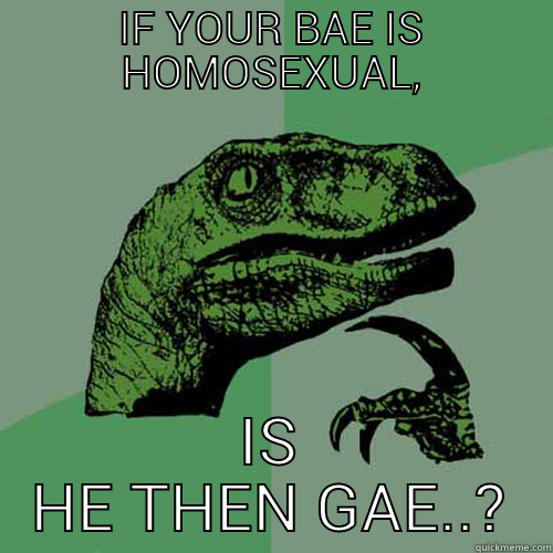 IF YOUR BAE IS HOMOSEXUAL, IS HE THEN GAE..? Philosoraptor