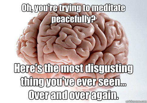 Oh, you're trying to meditate peacefully? Here's the most disgusting thing you've ever seen...
Over and over again.   Scumbag Brain