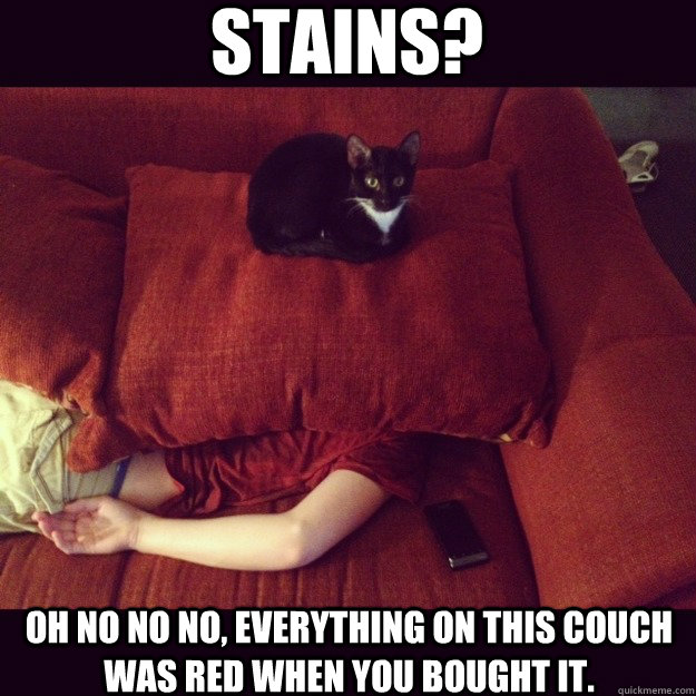 stains? oh no no no, everything on this couch was red when you bought it. - stains? oh no no no, everything on this couch was red when you bought it.  jealous cat
