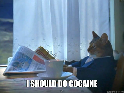  I should do cocaine  The One Percent Cat