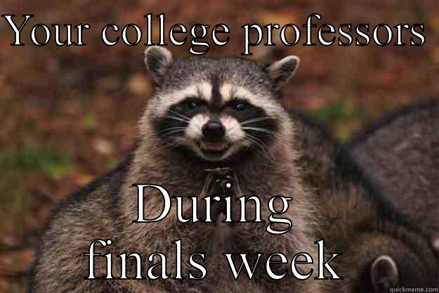 YOUR COLLEGE PROFESSORS  DURING FINALS WEEK Evil Plotting Raccoon