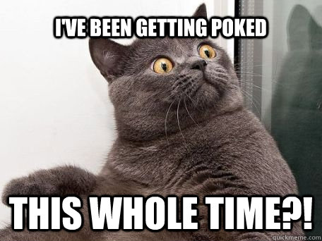 I've been getting poked this whole time?! - I've been getting poked this whole time?!  conspiracy cat