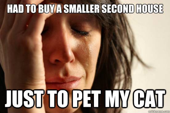 Had to buy a smaller second house Just to pet my cat  First World Problems