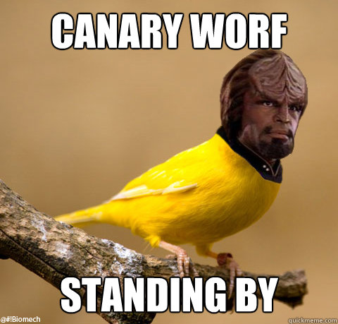 Canary Worf Standing BY  Canary Worf