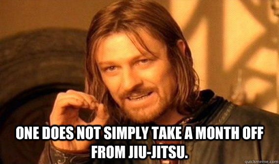  One does not simply take a month off from Jiu-Jitsu.  One does not simply beat skyrim