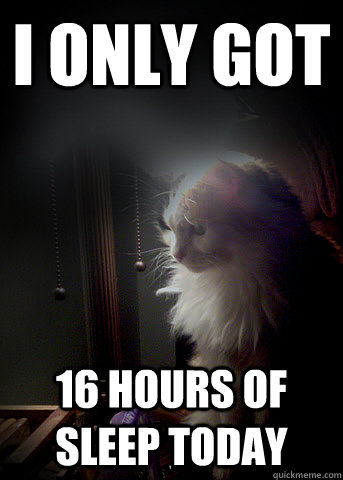 I only got 16 hours of sleep today - I only got 16 hours of sleep today  First World Cat Problems