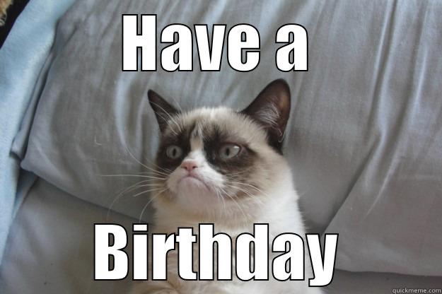 HAVE A BIRTHDAY Grumpy Cat
