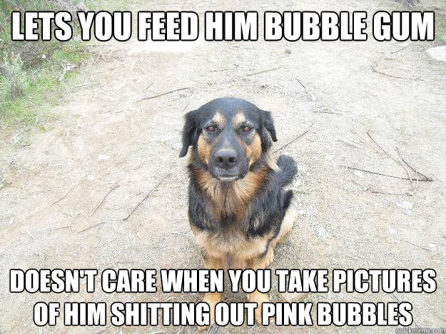 Lets you feed him bubble gum doesn't care when you take pictures of him shitting out pink bubbles  Good Guy Dog