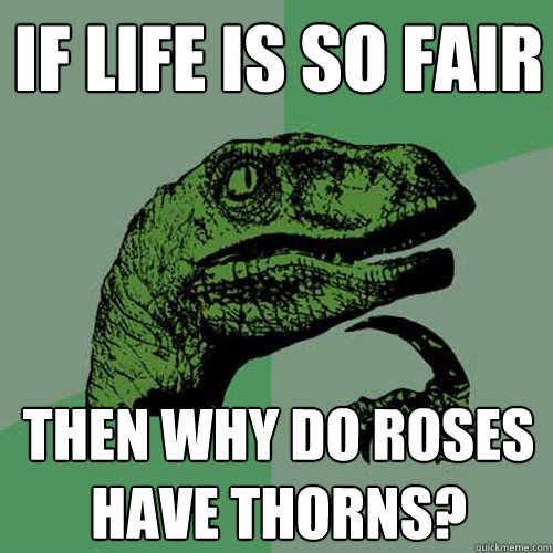 If life is so fair then why do roses have thorns?  Philosoraptor