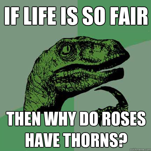 If life is so fair then why do roses have thorns? - If life is so fair then why do roses have thorns?  Philosoraptor