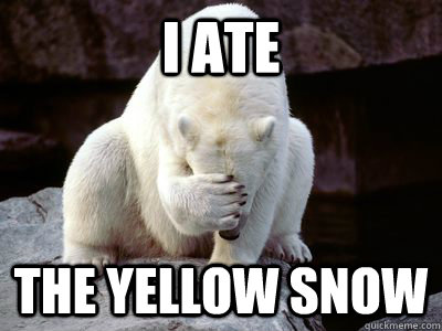 I ate The Yellow snow - I ate The Yellow snow  Sad Polar Bear