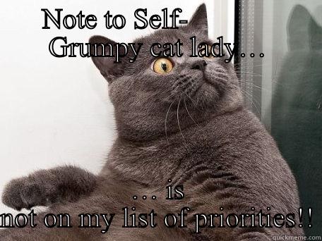 Grumpy cat lady… -  NOTE TO SELF-              GRUMPY CAT LADY… … IS NOT ON MY LIST OF PRIORITIES!! conspiracy cat