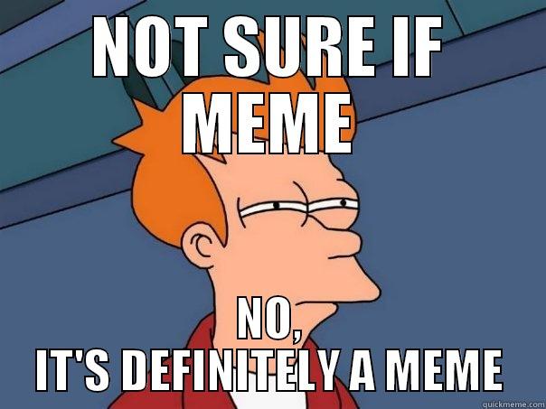 This is a meta-meme. It's funny - NOT SURE IF MEME NO, IT'S DEFINITELY A MEME Futurama Fry
