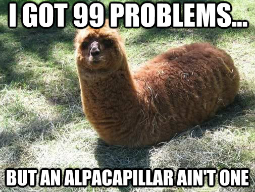 I got 99 problems... but an alpacapillar ain't one  Alpacapillar