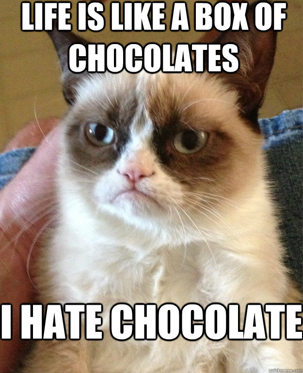 Life is like a box of chocolates I HATE CHOCOLATE  Grumpy Cat