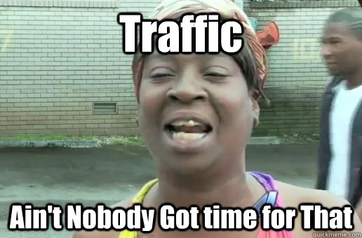 Traffic Ain't Nobody Got time for That  