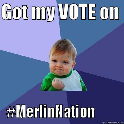GOT MY VOTE ON  #MERLINNATION         Success Kid