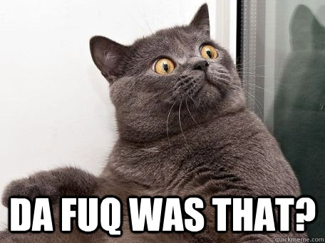  DA FUQ was that?  conspiracy cat