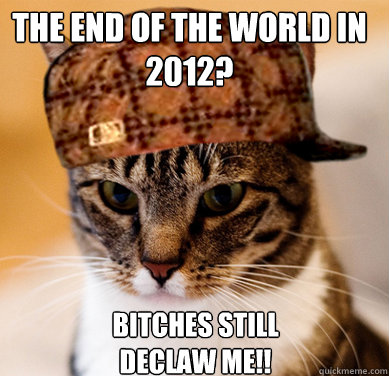 THE END OF THE WORLD IN 2012?  BITCHES STILL DECLAW ME!!  Scumbag Cat