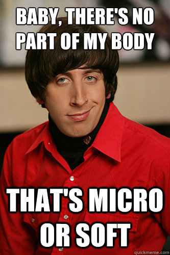 BABY, THERE'S NO PART OF MY BODY THAT'S MICRO OR SOFT  Howard Wolowitz