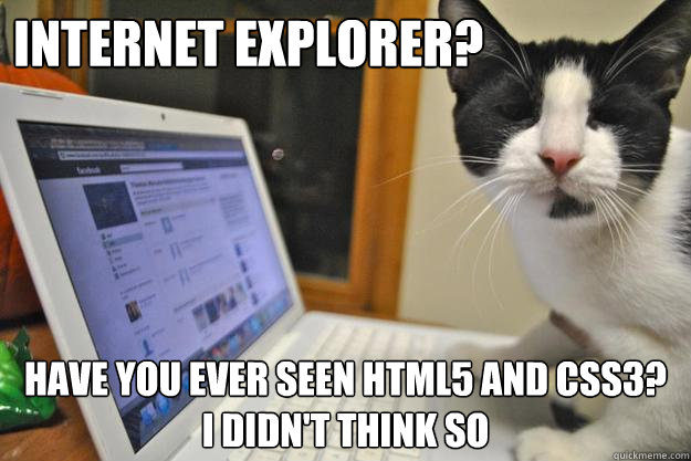 internet explorer? have you ever seen html5 and css3?  I didn't think so - internet explorer? have you ever seen html5 and css3?  I didn't think so  IT Cat