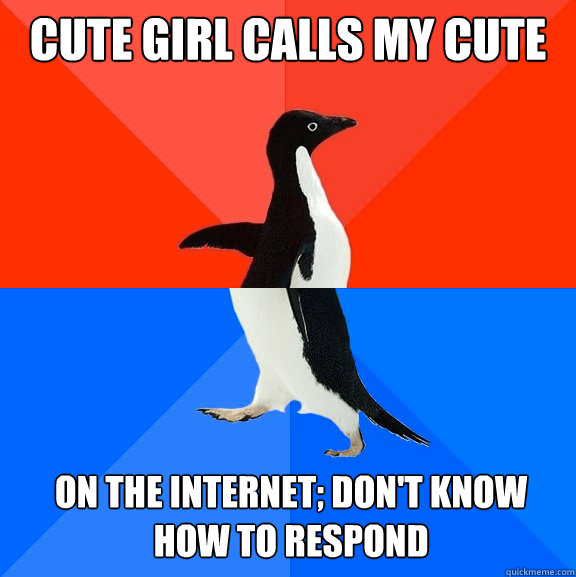 cute girl calls my cute on the internet; don't know how to respond  Socially Awesome Awkward Penguin