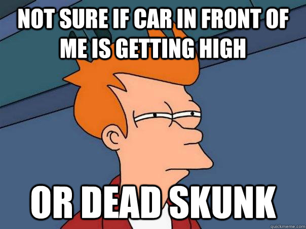 Not sure if car in front of me is getting high Or dead skunk   Futurama Fry