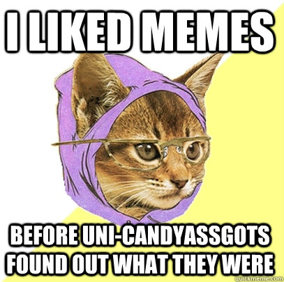 I liked memes  before uni-candyassgots found out what they were  Hipster Kitty