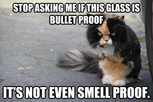 stop asking me if this glass is bullet proof It's not even smell proof.  - stop asking me if this glass is bullet proof It's not even smell proof.   Angry Cat