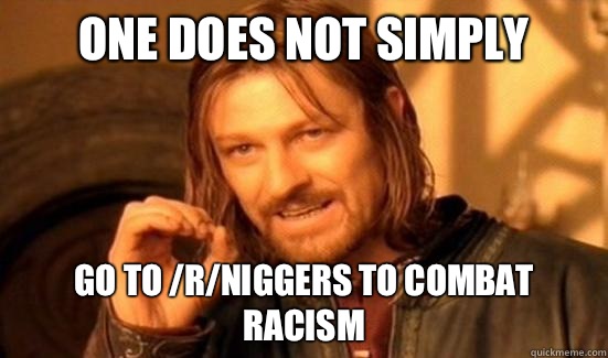 One Does Not Simply Go to /r/niggers to combat racism  Boromir