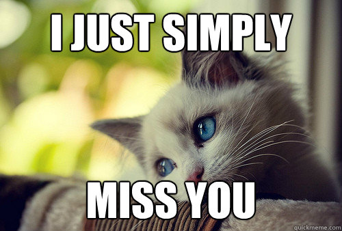I just simply Miss you  First World Problems Cat