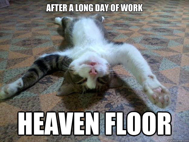 After A Long Day of Work heaven Floor  Tired Cat