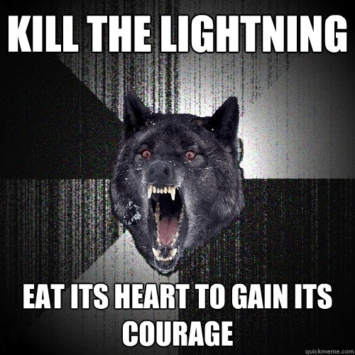 kill the lightning eat its heart to gain its courage  Insanity Wolf