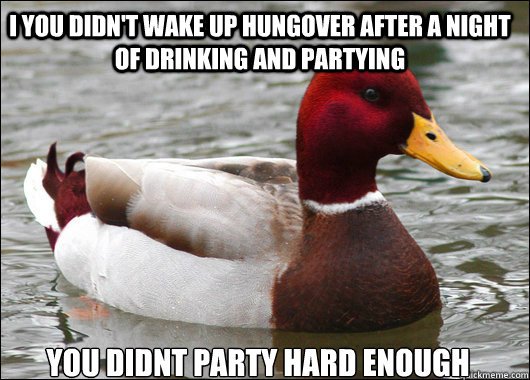 I you didn't wake up hungover after a night of drinking and partying you didnt party hard enough  Malicious Advice Mallard