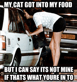 my cat got into my food but i can say its not mine if thats what youre in to  Karma Whore