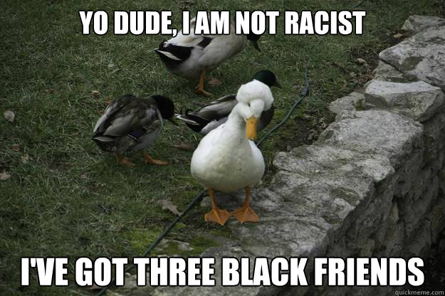 Yo Dude, I am Not Racist I've got three black friends - Yo Dude, I am Not Racist I've got three black friends  Misc